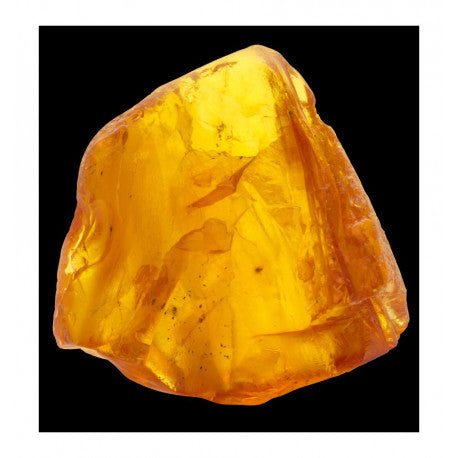 caribbean | eau de parfum sample | 15 ml (man)
