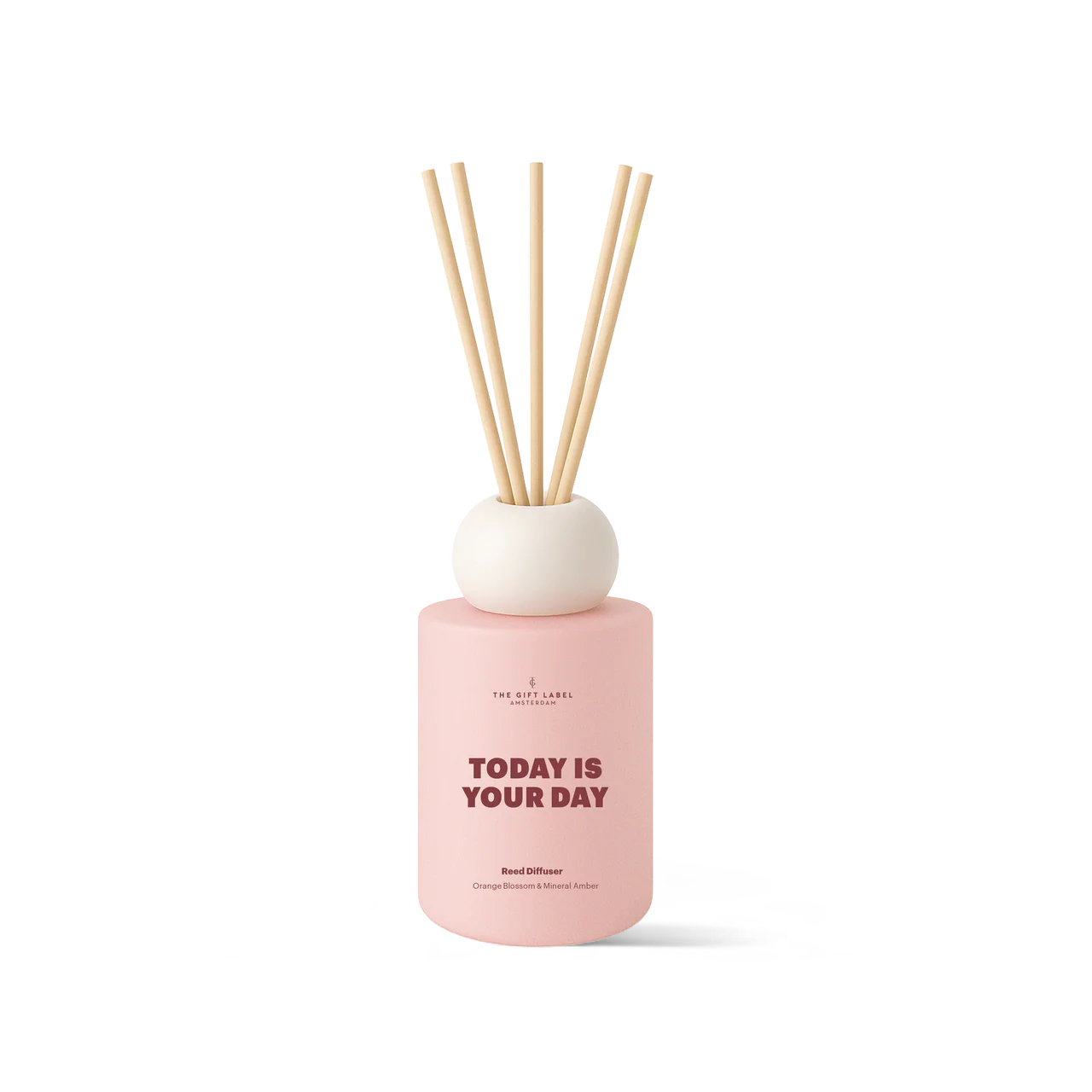 frosted reed diffuser | today is your day