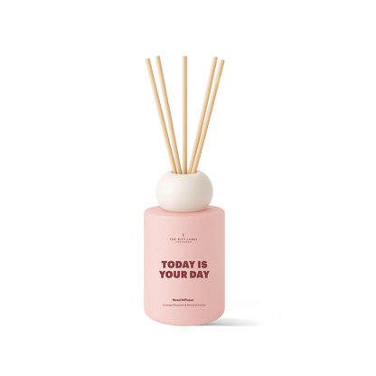 frosted reed diffuser | today is your day