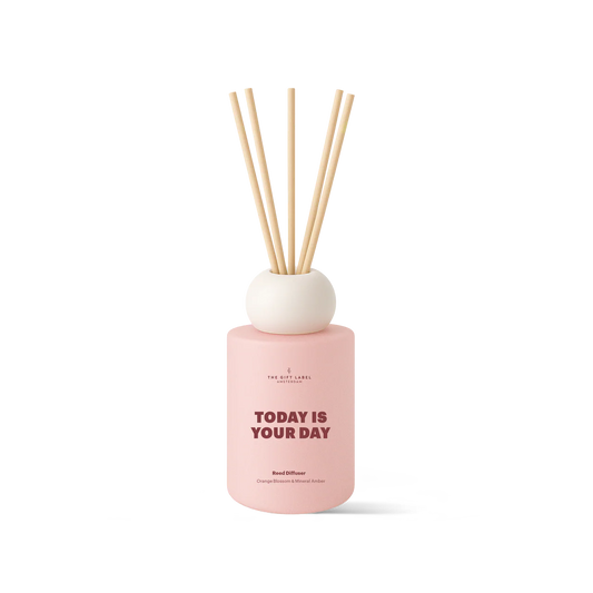 frosted reed diffuser | today is your day