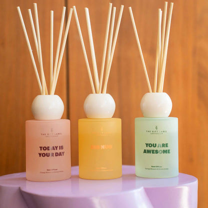 frosted reed diffuser | today is your day