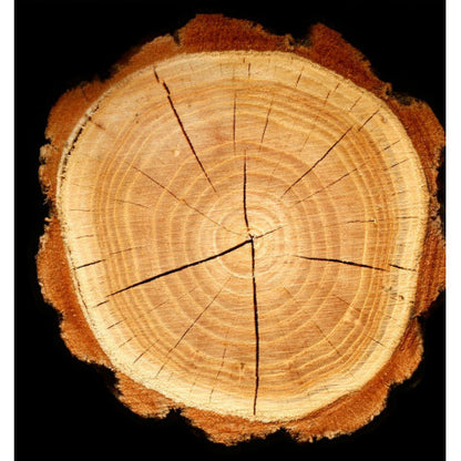 moment | yodeyma eau de parfum