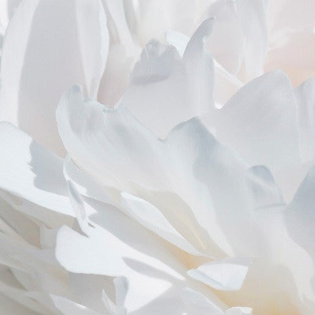 valia | yodeyma eau de parfum | niche collection