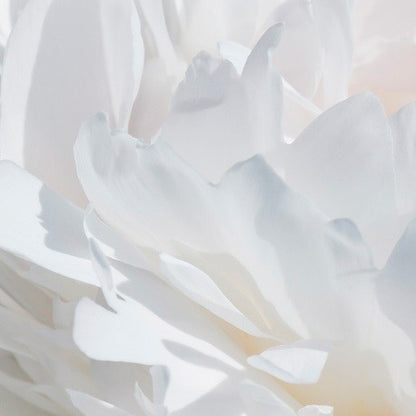 valia | yodeyma eau de parfum | niche collection
